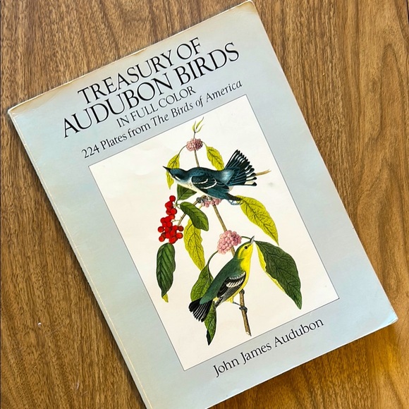 Vintage Other - Vintage 90s Treasury of Audubon Birds in Color Book from The Birds of America